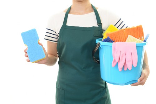 Customer raising a complaint about an oven cleaning service