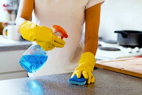 Example of a double oven cleaning job in a Shoreditch property