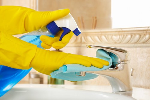 Professional oven cleaning process with appliance components removed