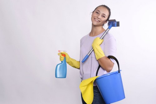 Professional oven cleaning team following a safety-focused working procedure