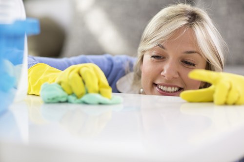 Deep cleaning carpet fibres in a Shoreditch apartment