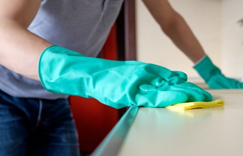 Technician performing detailed oven cleaner service in a Shoreditch home
