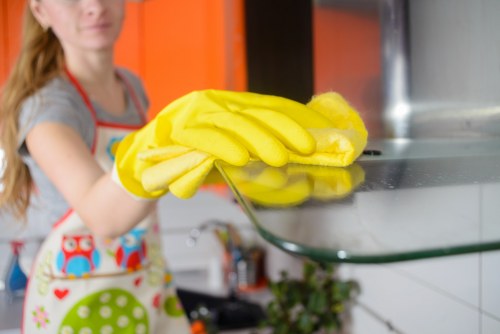 Professional cleaning of an oven with safety-focused methods