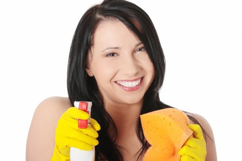 Reliable cleaner in Shoreditch maintaining a bright and tidy apartment